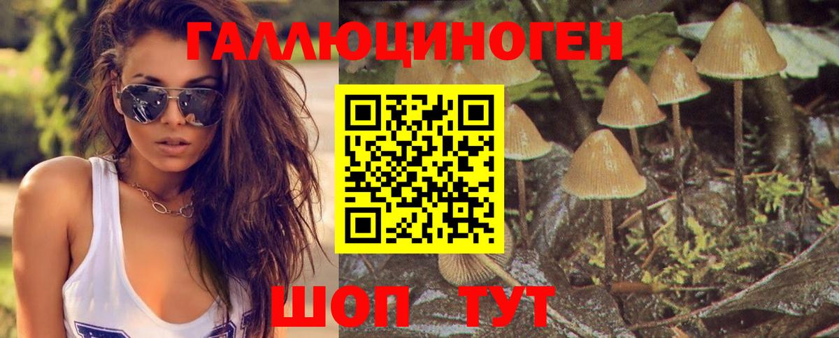 Усолье-Сибирское  Галлюциногенные грибы MAGIC MUSHROOMS  Вход с VPN 
